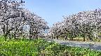 takano1-20250509081015.jpg
