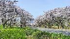 takano1-20250509082015.jpg