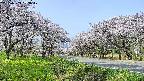 takano1-20250509083019.jpg