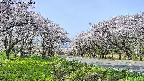 takano1-20250509085017.jpg