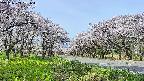 takano1-20250509091016.jpg