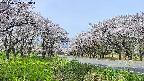 takano1-20250509093018.jpg