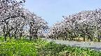 takano1-20250509094016.jpg