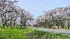 takano1-20250509095015.jpg