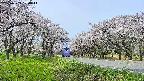 takano1-20250509100016.jpg