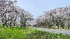 takano1-20250509101016.jpg