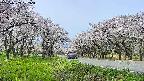 takano1-20250509102017.jpg