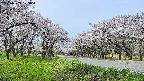 takano1-20250509103017.jpg