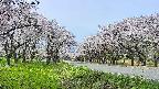 takano1-20250509104017.jpg