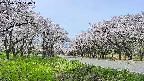 takano1-20250509110017.jpg