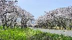 takano1-20250509111015.jpg