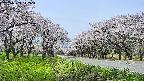 takano1-20250509112017.jpg