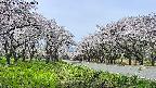 takano1-20250509113017.jpg
