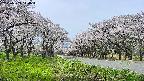 takano1-20250509114017.jpg