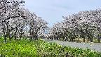 takano1-20250509115016.jpg