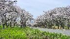 takano1-20250509120016.jpg