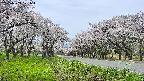 takano1-20250509121017.jpg