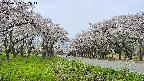 takano1-20250509122016.jpg