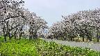 takano1-20250509124018.jpg