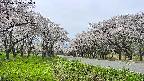 takano1-20250509125017.jpg