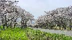 takano1-20250509131016.jpg