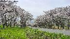 takano1-20250509133016.jpg