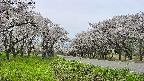 takano1-20250509134015.jpg