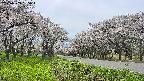 takano1-20250509135017.jpg