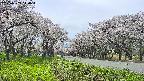 takano1-20250509140017.jpg