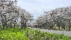 takano1-20250509141017.jpg