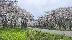 takano1-20250509142017.jpg