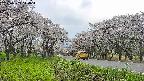 takano1-20250509144017.jpg