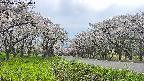 takano1-20250509150019.jpg