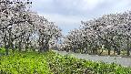 takano1-20250509151017.jpg