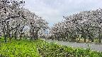 takano1-20250509152017.jpg