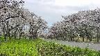 takano1-20250509154016.jpg