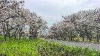 takano1-20250509155016.jpg