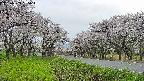 takano1-20250509165016.jpg