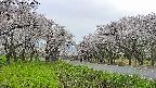 takano1-20250509170019.jpg