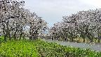 takano1-20250509171016.jpg