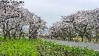 takano1-20250509173018.jpg