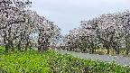 takano1-20250509175017.jpg