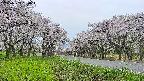 takano1-20250509180016.jpg