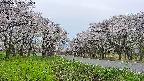 takano1-20250509181017.jpg