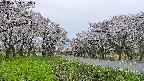 takano1-20250509182017.jpg