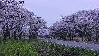 takano1-20250509185016.jpg
