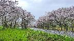 takano1-20250510051016.jpg