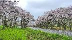 takano1-20250510054015.jpg