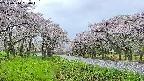 takano1-20250510060016.jpg