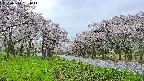 takano1-20250510061015.jpg